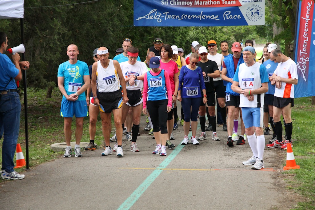 Výsledky 2013 / Results 2013