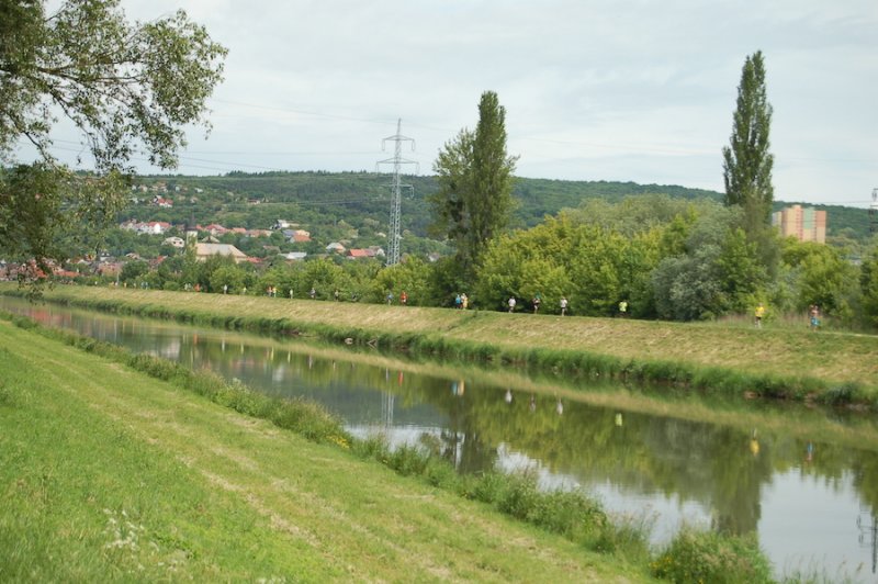 dsc_0241.jpg